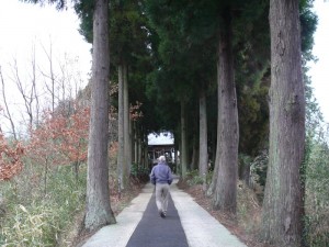 2011年3月紫神社
