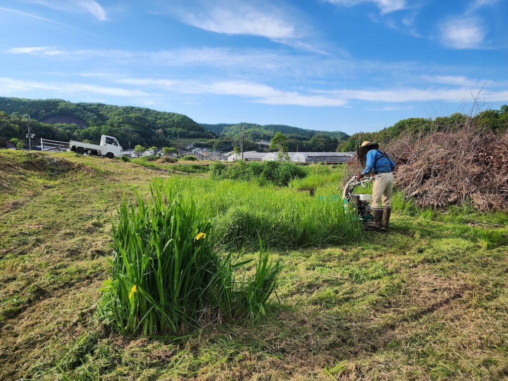 腐葉土づくりと草刈り